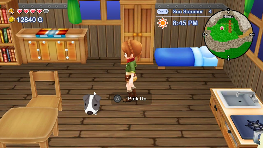 SWITCH HARVEST MOON THE LOST VALLEY AND SKYTREE VILLAGE [GAME][R3/ASIA][ENG]